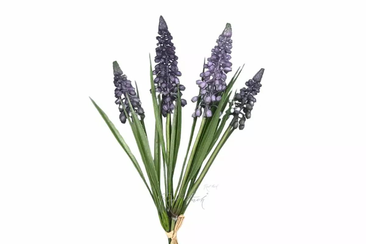 Muscari bunch - purple