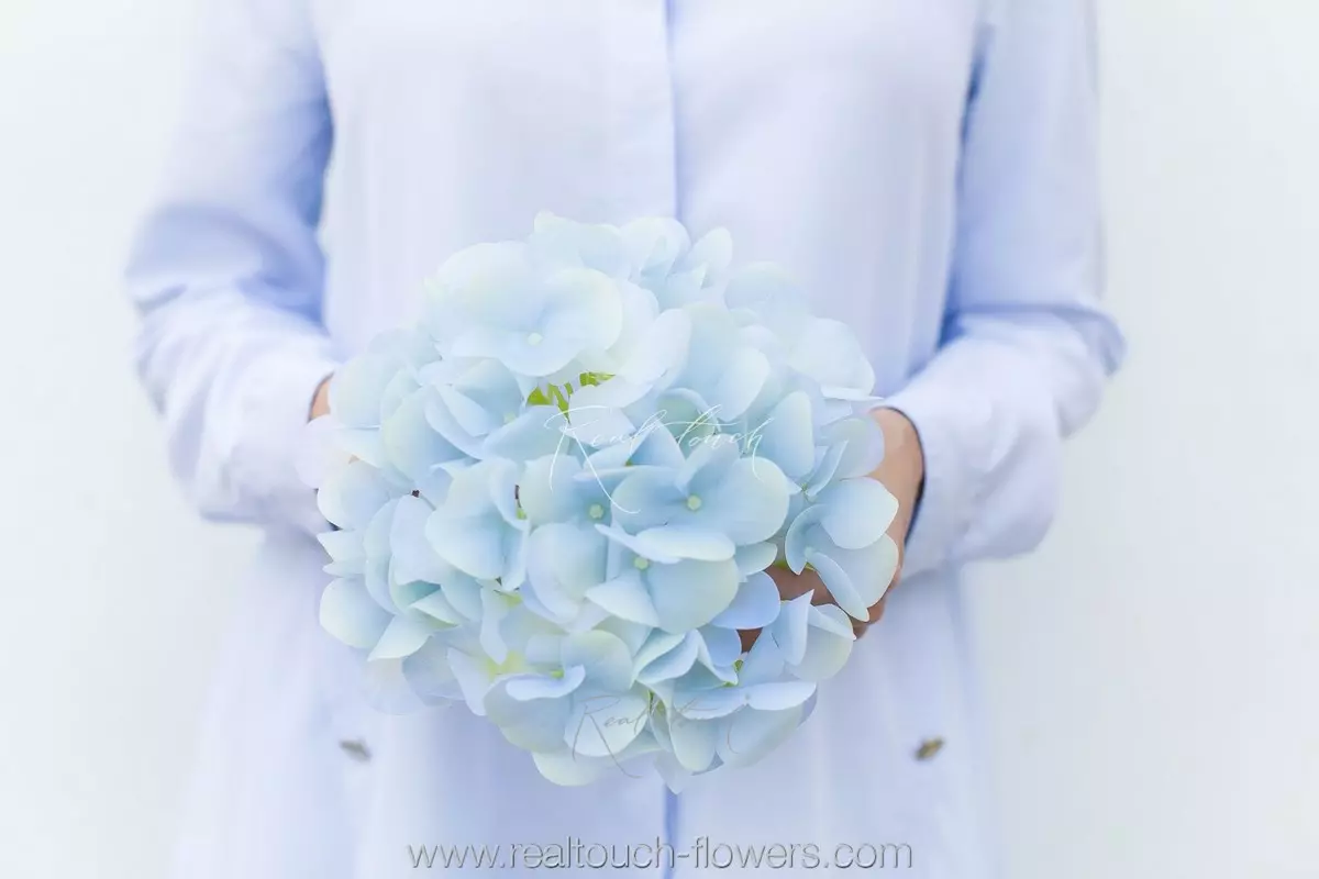 Hydrangea Flower (without stem) - light blue Hydrangea Flower (without stem) - light blue