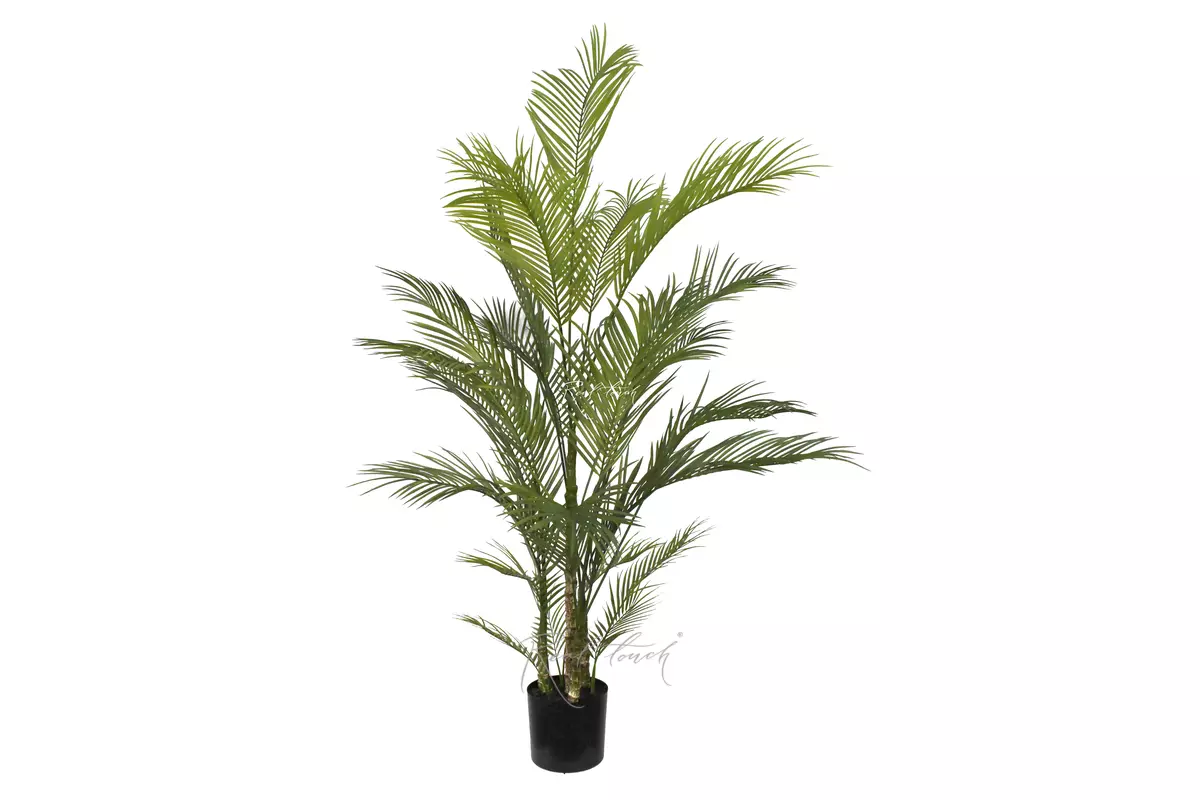 Real Touch Areca Chrysalidocarpus Palm 180cm - green