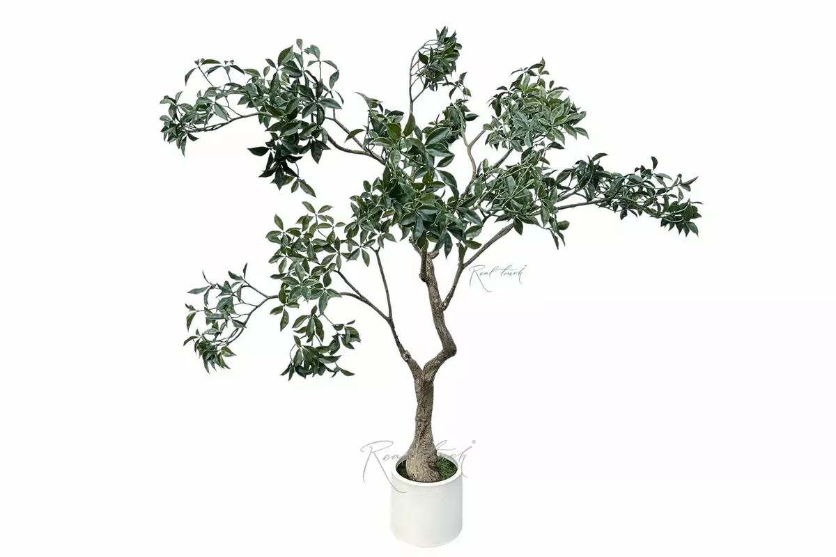 Rubber ficus in a decorative planter 150 cm - green