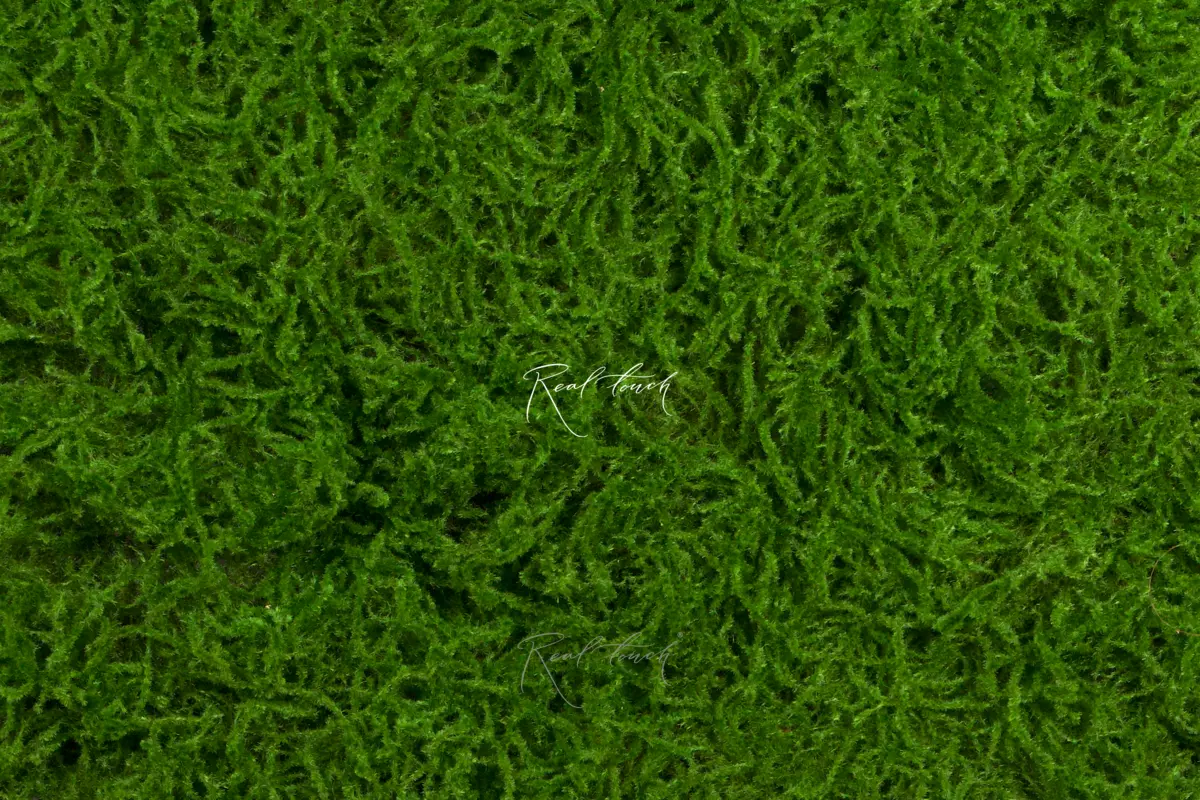 Moss mat 1*1м 100-5 - green Moss mat 1*1м 100-5 - green