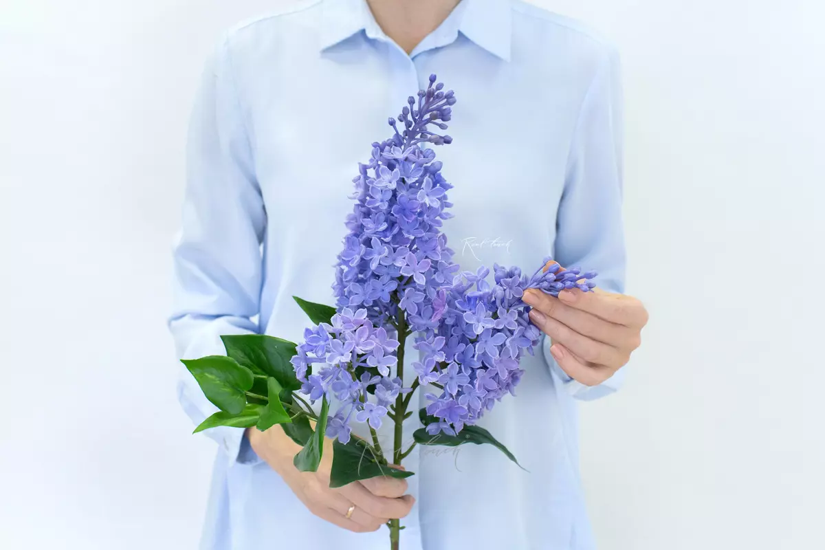 Real Touch Lilac Branch (3 sprays) - purple