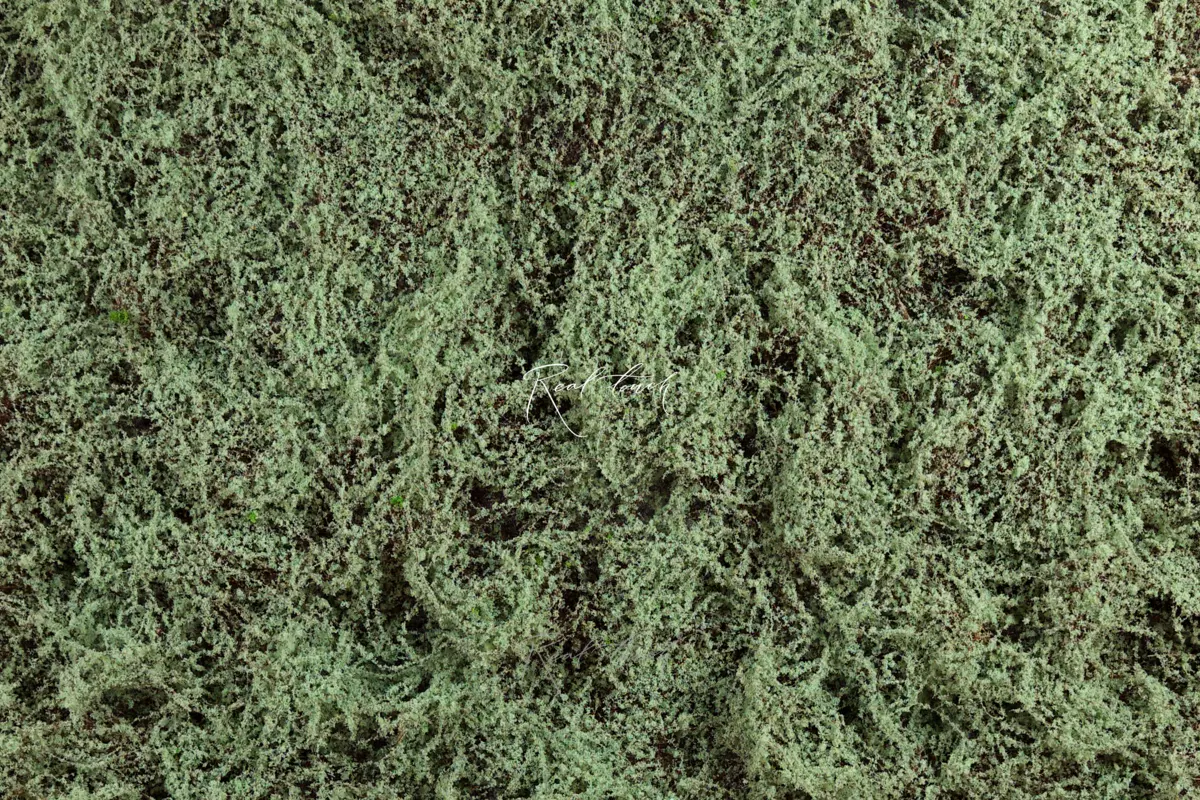 Moss mat 1*1м - dusty green