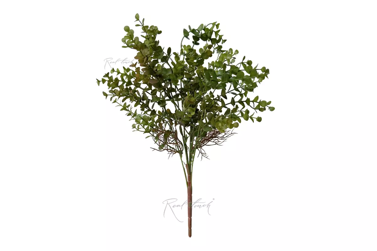 Eucalyptus Bush - Green red Eucalyptus Bush - Green red