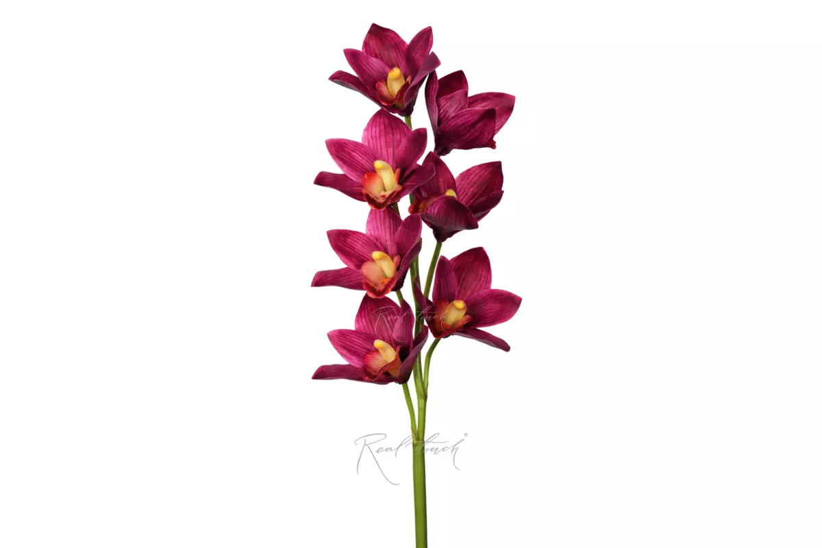 Cymbidium with 7 inflorescences 27" - purple Cymbidium with 7 inflorescences 27" - purple