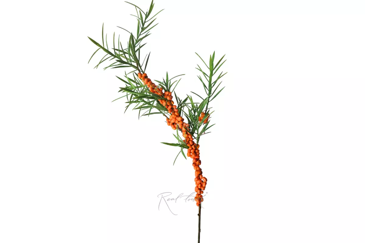 Sea buckthorn branch - orange