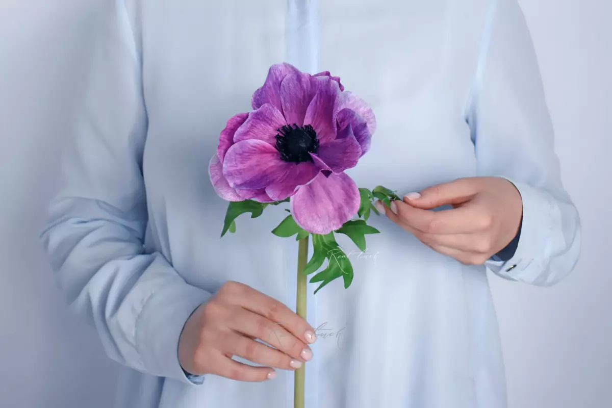 Anemone - light purple 