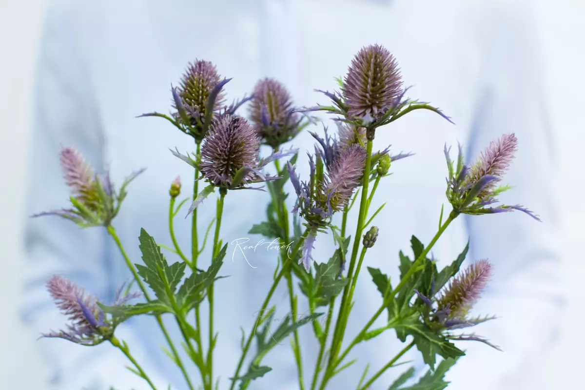 Real Touch Eriygium Supernova Sea Holly Flowers - smoky lilac
