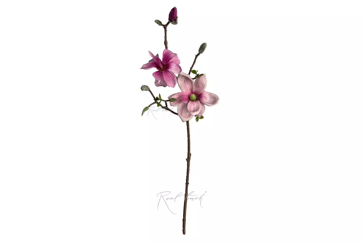 Magnolia Branch 66cm - purple