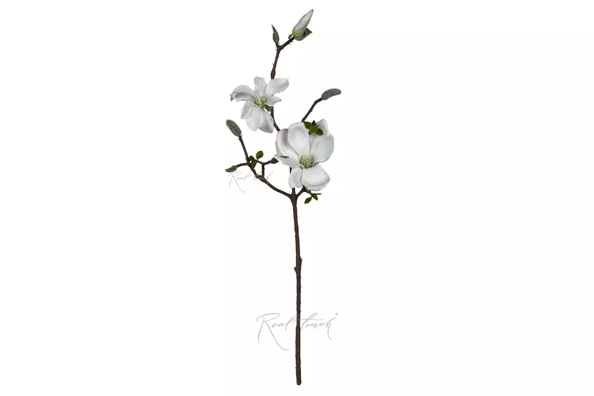 Magnolia Branch 66cm - white