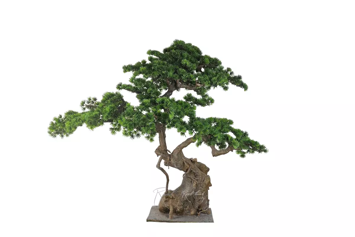 Niwaki (bonsai) 110*130*40 cm - green Niwaki (bonsai) 110*130*40 cm - green