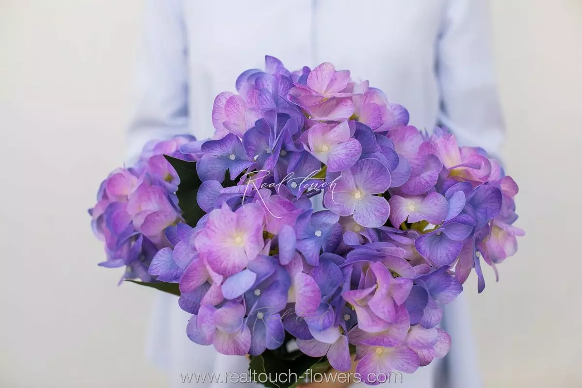 Real Touch hydrangea bush (5 blooms) - bright purple 