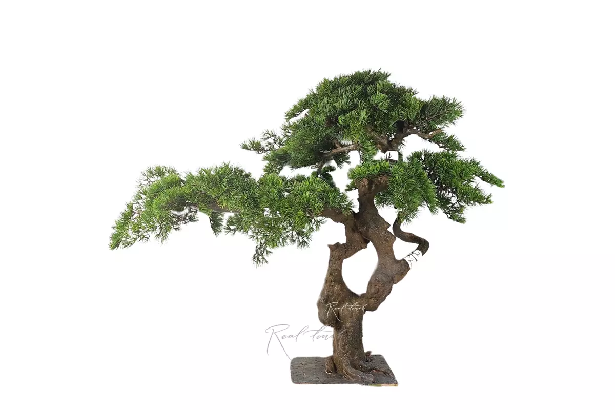 Niwaki (bonsai) 115*145*40 cm - green