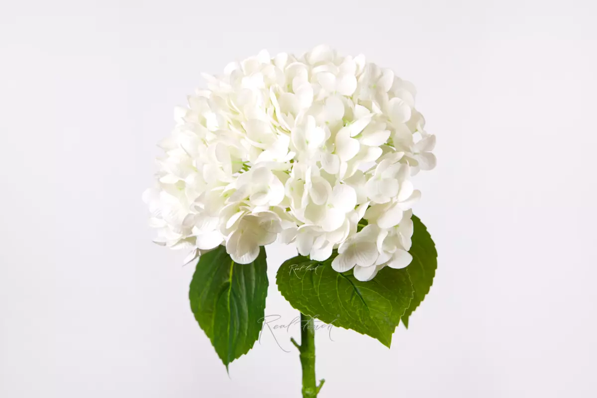 Real Touch Garden Hydrangea (with stem) - white Real Touch Garden Hydrangea (with stem) - white