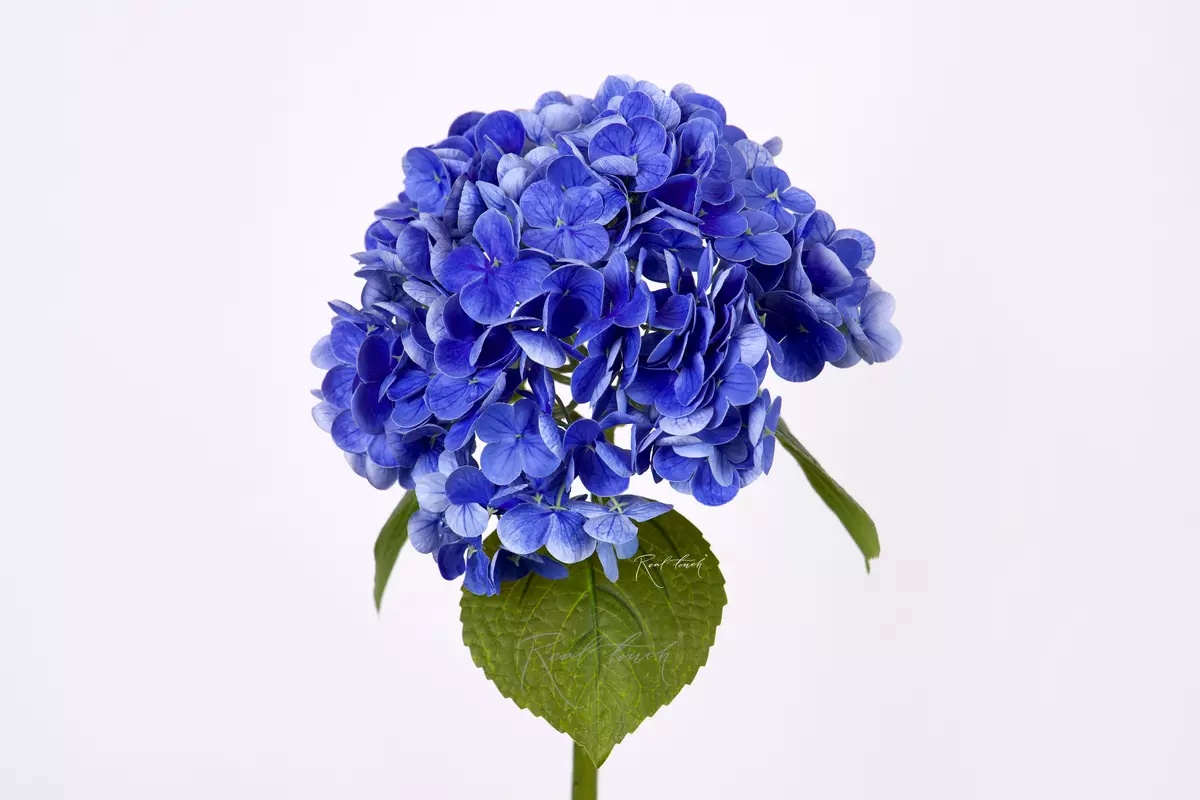 Real Touch Garden Hydrangea (with stem) - blue Real Touch Garden Hydrangea (with stem) - blue