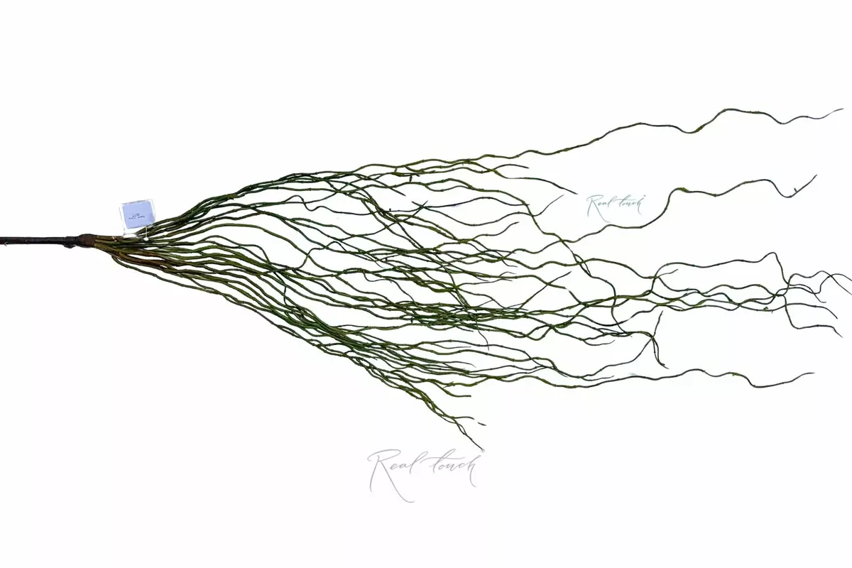 Roots 130 cm - green