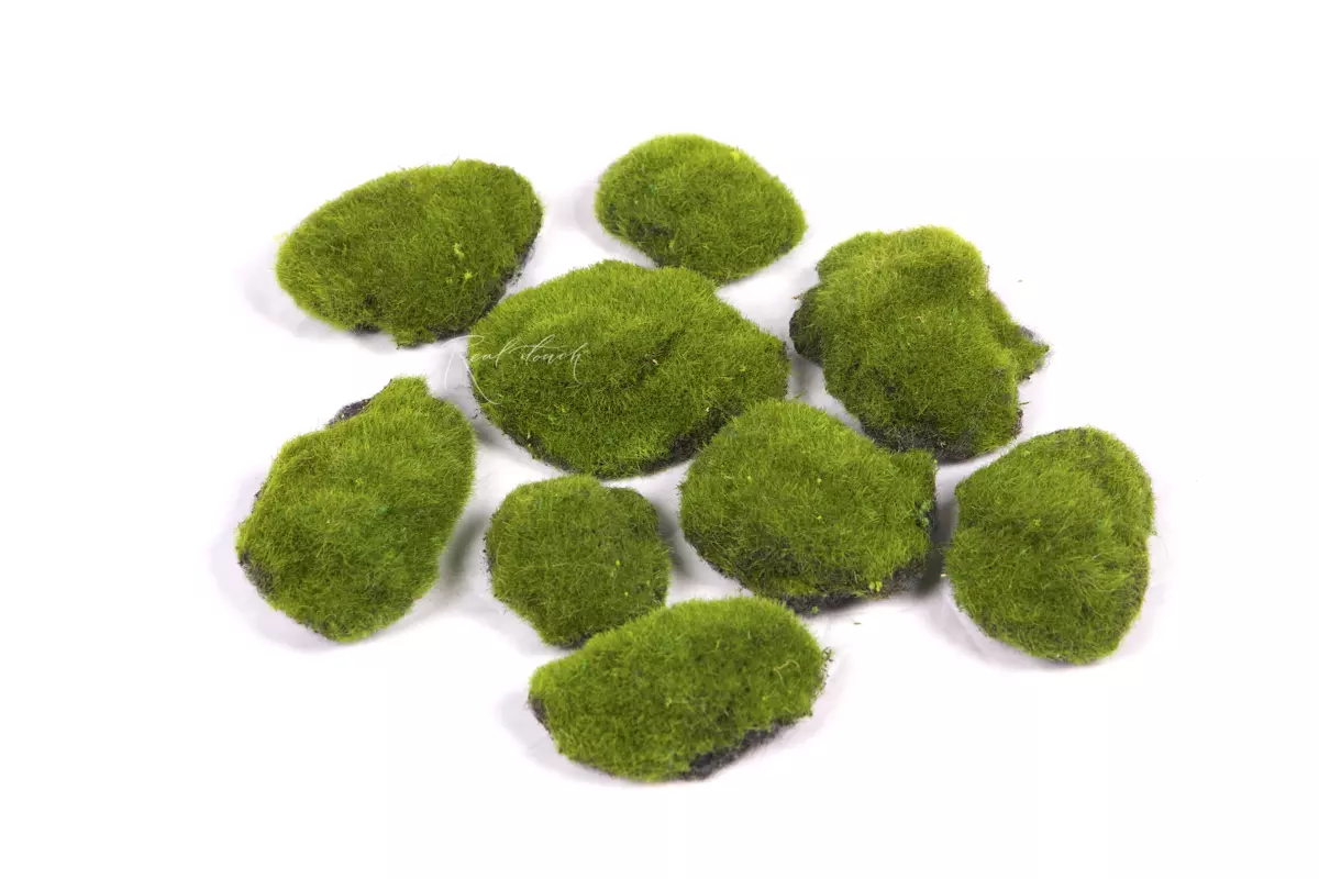 Moss hummocks small (set 10pcs) BF5-10 - green Moss hummocks small (set 10pcs) BF5-10 - green