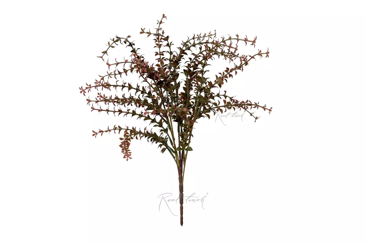 Thyme - red