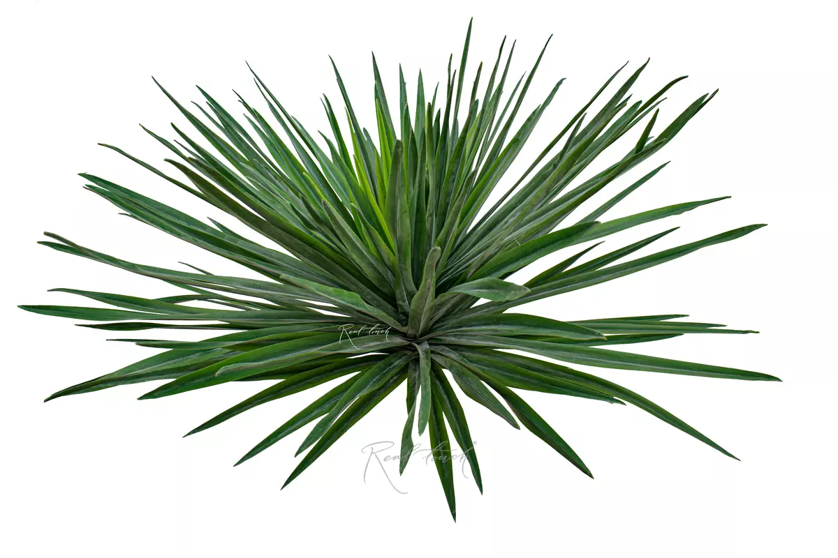 Yucca Garden large - green Yucca Garden large - green