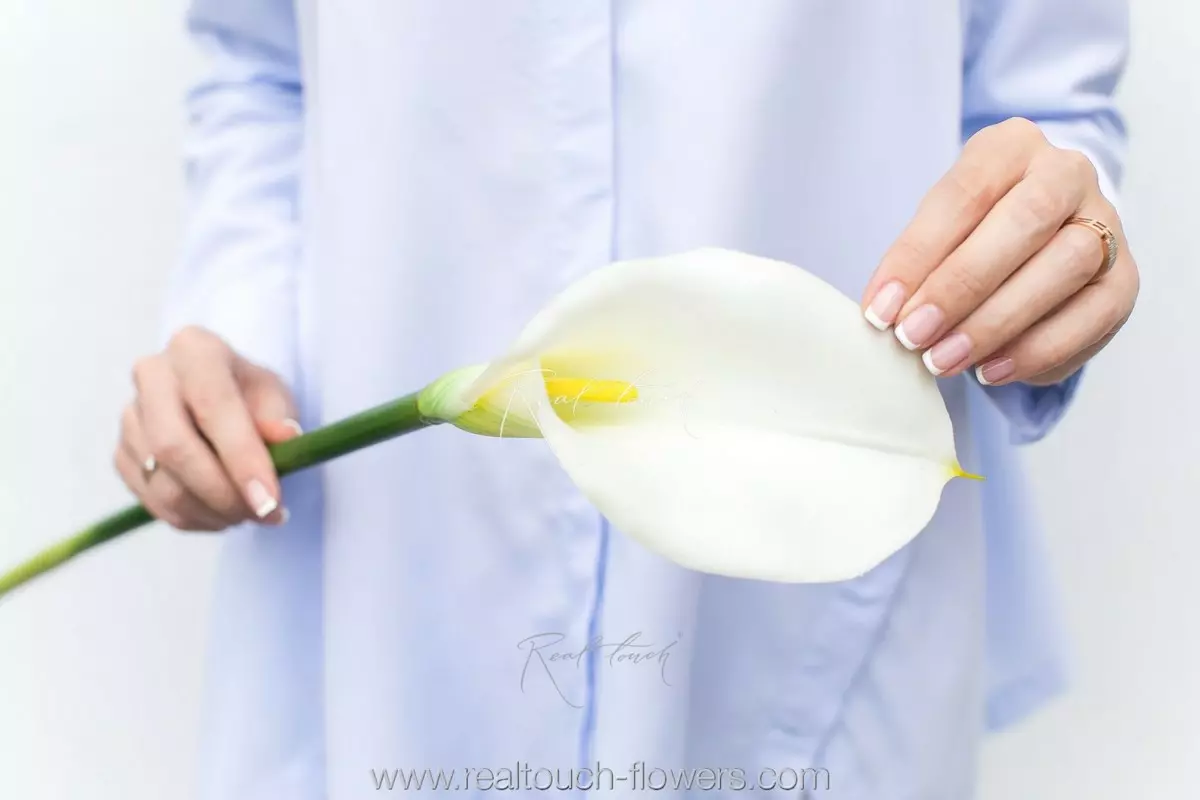 Real Touch Calla Lily Premium - white Real Touch Calla Lily Premium - white