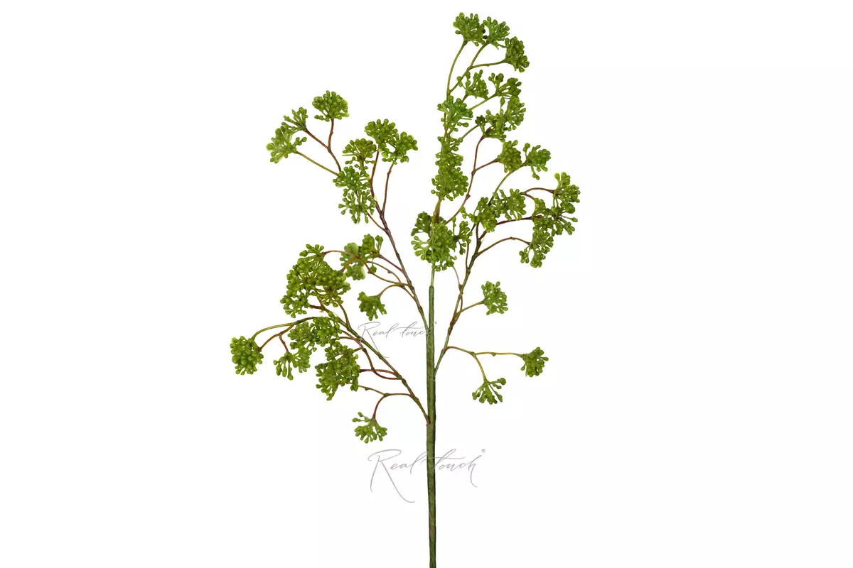 A twig with small berries - green