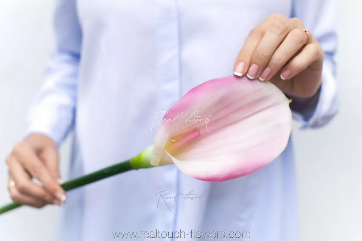 Real Touch Calla Lily Premium - light purple Real Touch Calla Lily Premium - light purple