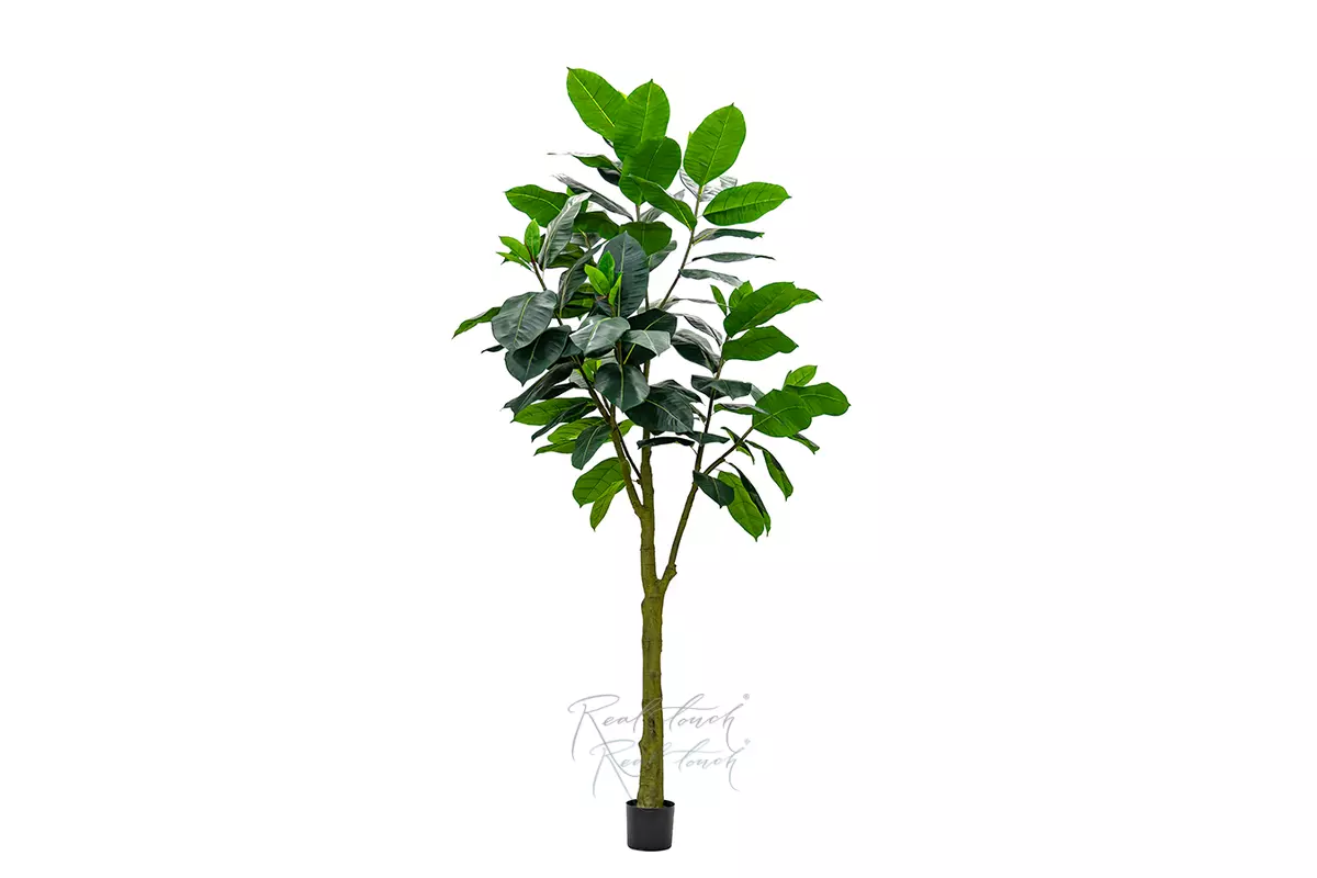 Artificial Ficus Elastica Abidjan 300cm  - green