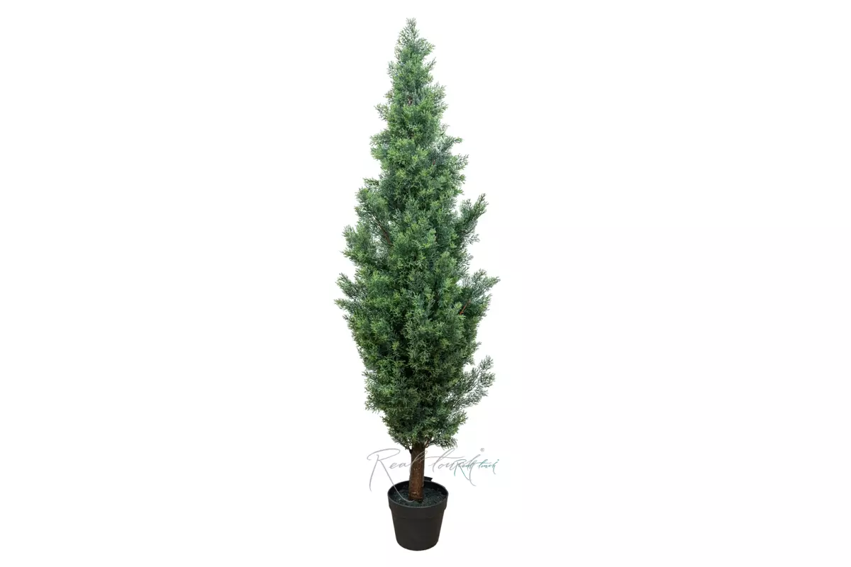 Real Touch Juniper 60" (150 cm) - white green Real Touch Juniper 60" (150 cm) - white green