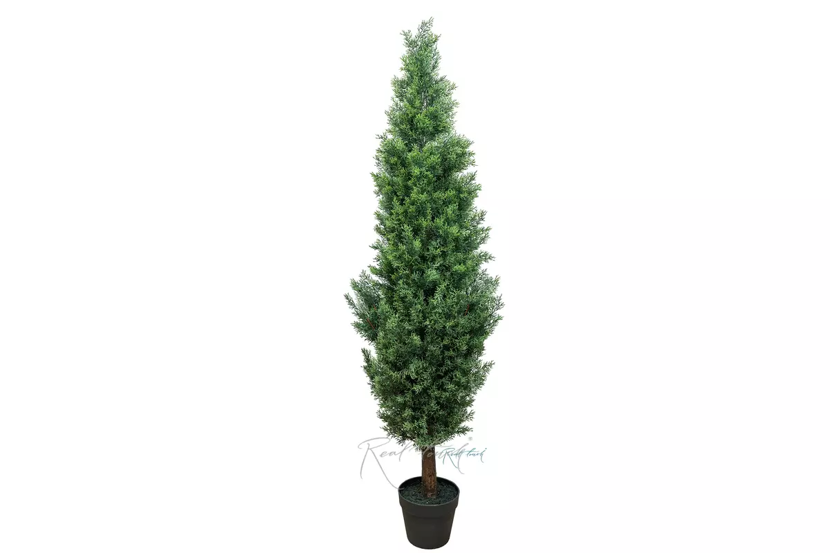 Real Touch Juniper 60" (150 cm) - green Real Touch Juniper 60" (150 cm) - green