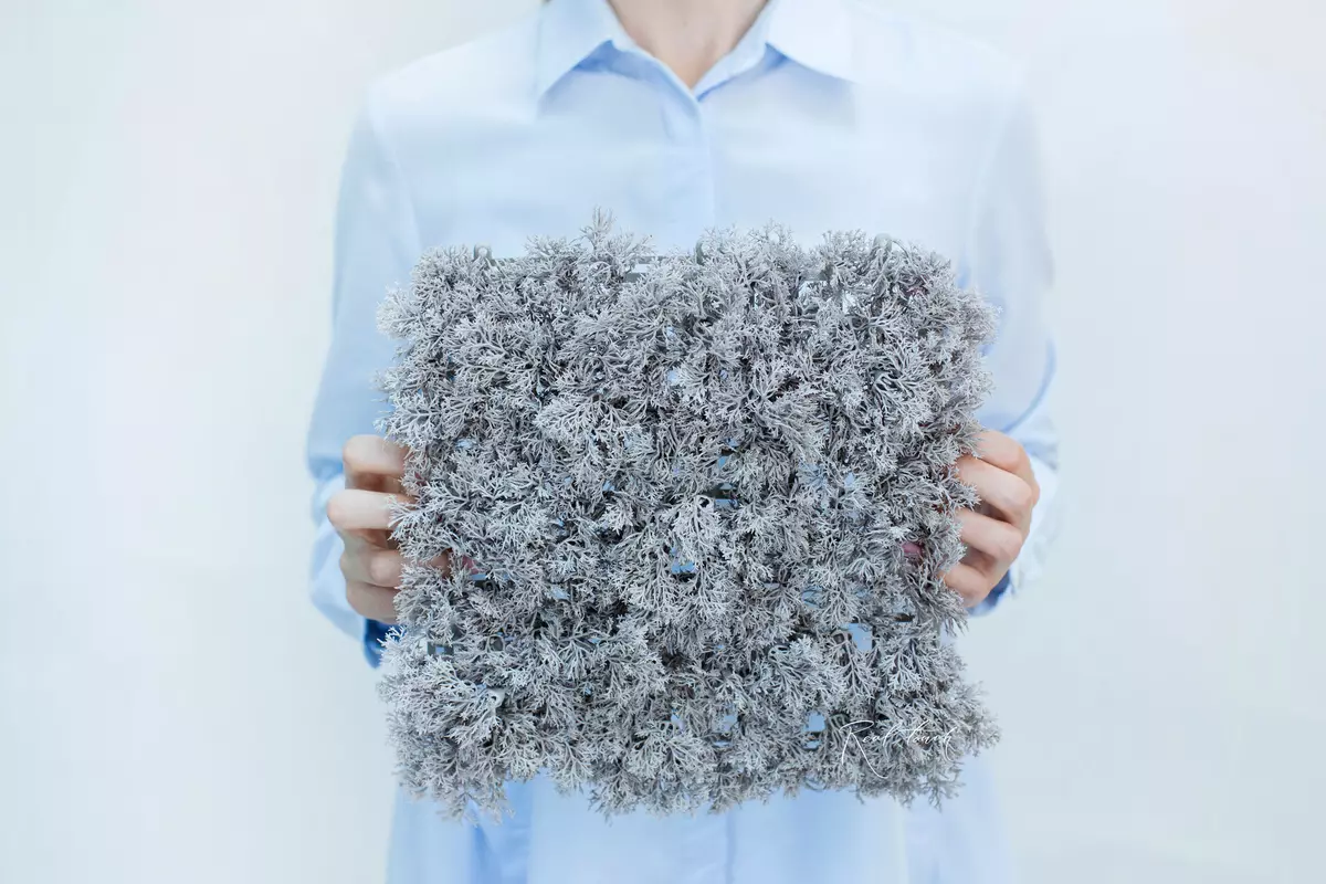 Reindeer Moss Yagel panel 24,5 * 24,5cm - silver