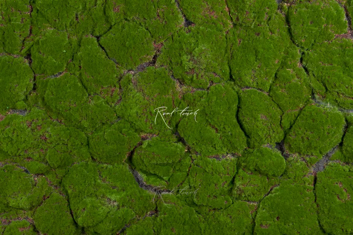 Moss mat 1*1м 100-7 - green Moss mat 1*1м 100-7 - green