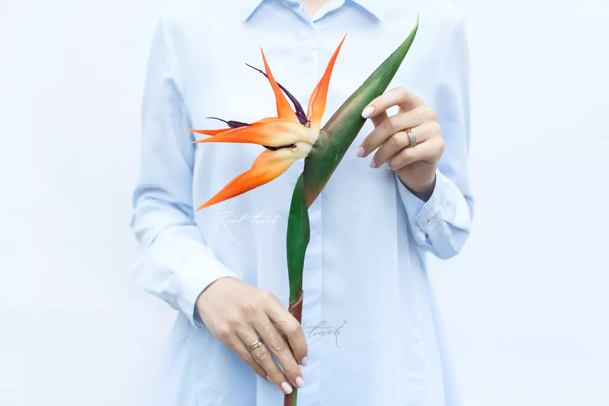 Bird of Paradise Strelitzia flower 100cm - Yellow red