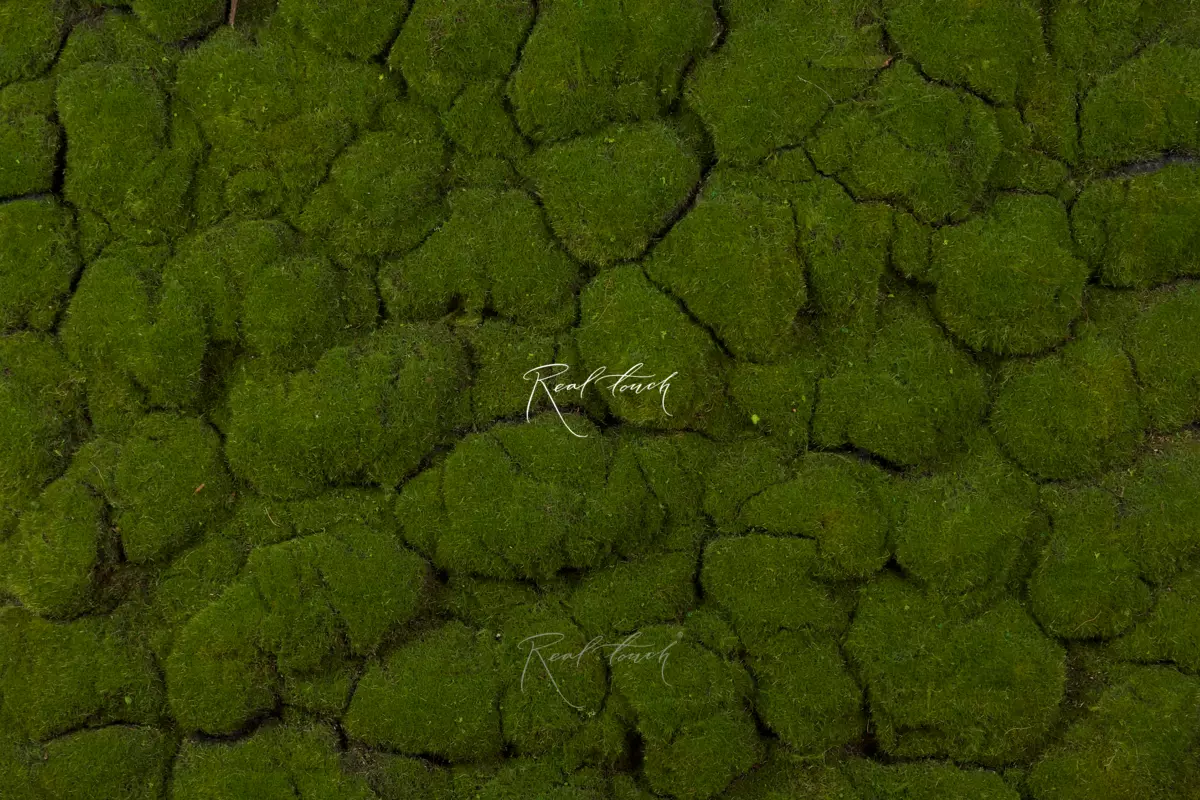 Moss mat 1*1м 9-1 - green Moss mat 1*1м 9-1 - green
