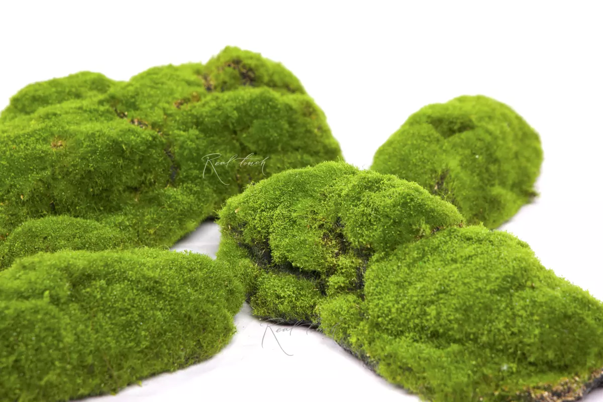 Moss hummocks big (set of 4pcs) BF5-5 - green Moss hummocks big (set of 4pcs) BF5-5 - green
