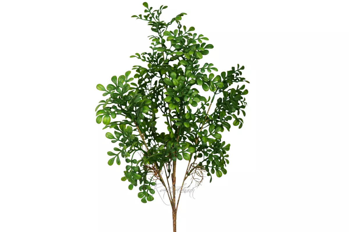 Milanese grass branch - green