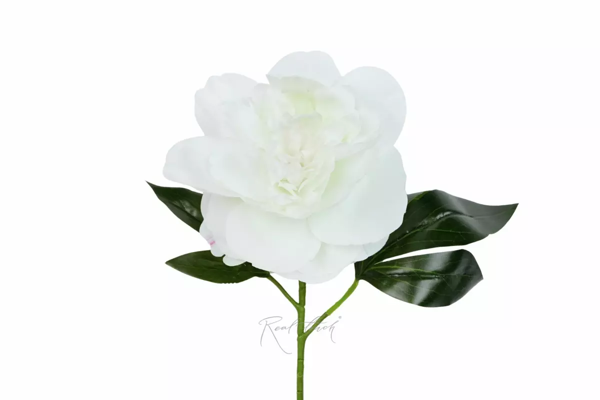 Real Touch Silicone Peony Stem - white