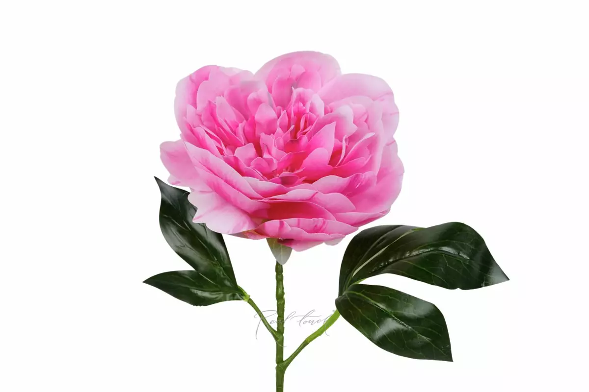 Real Touch Silicone Peony Stem - Pink purple