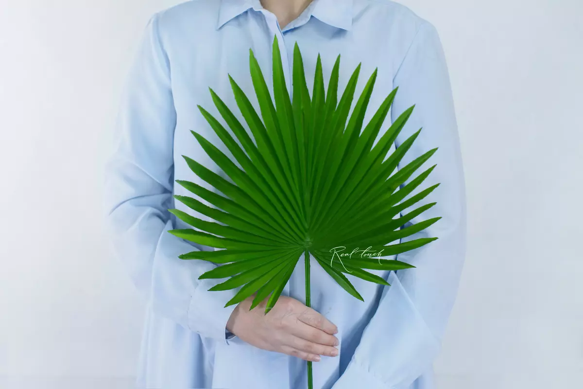 Fan palm leaf - green