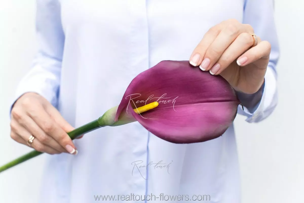 Real Touch Calla Lily Premium - purple Real Touch Calla Lily Premium - purple