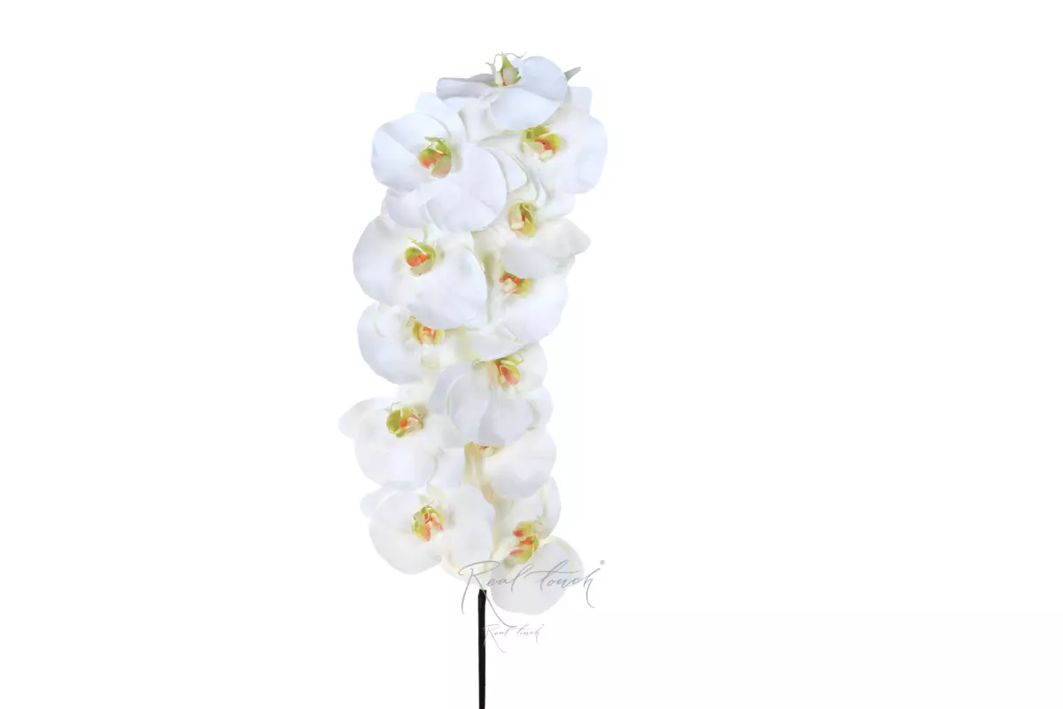 Real Touch Phalaenopsis Orchid 12 blooms (yellow core) - white Real Touch Phalaenopsis Orchid 12 blooms (yellow core) - white