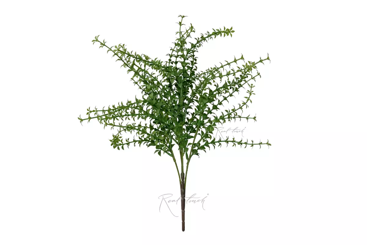 Thyme - light green