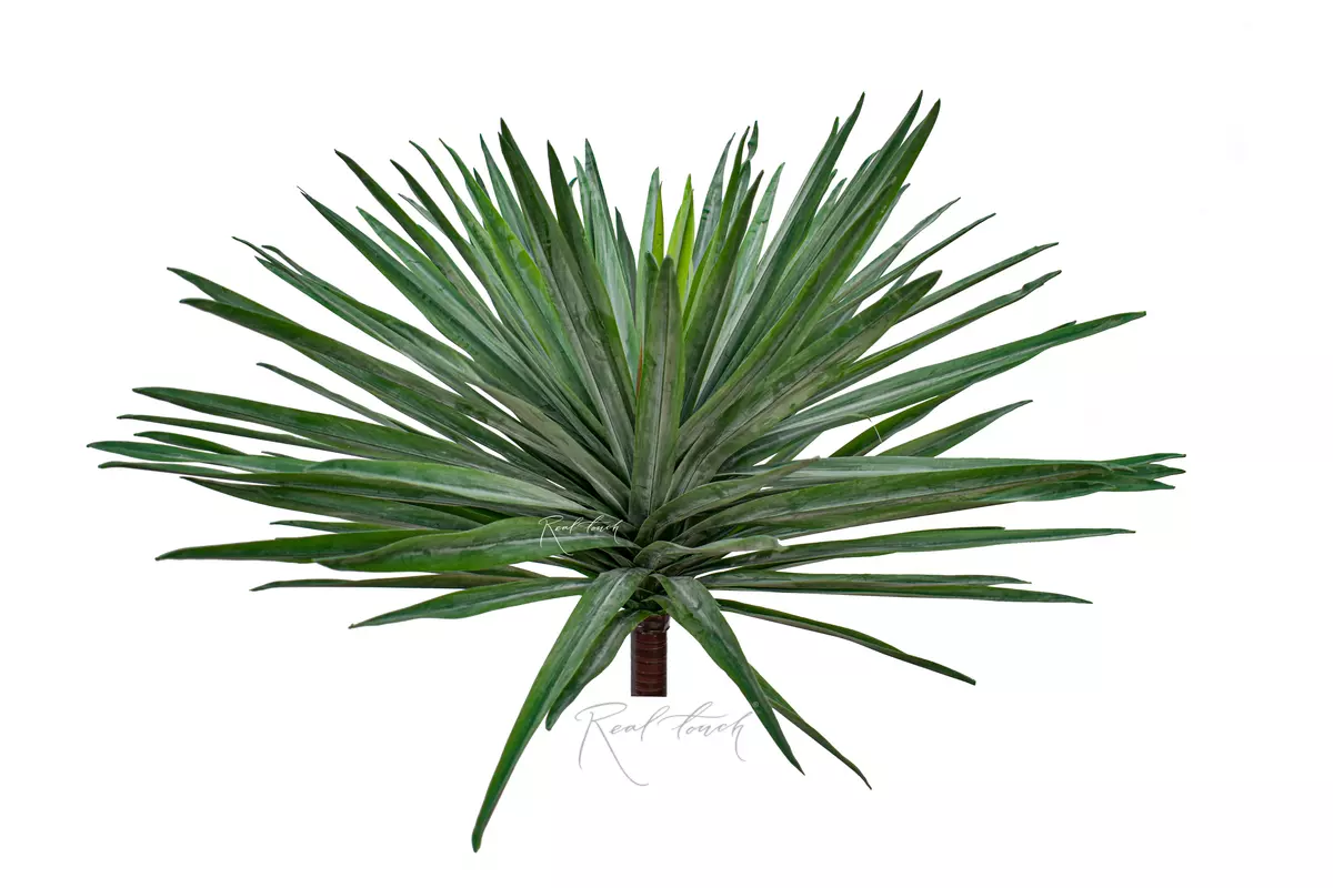 Yucca Garden medium - green Yucca Garden medium - green