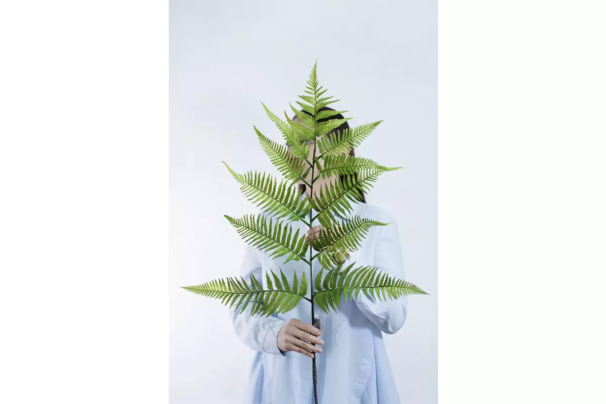 Tree-like branch of fern 137cm - green