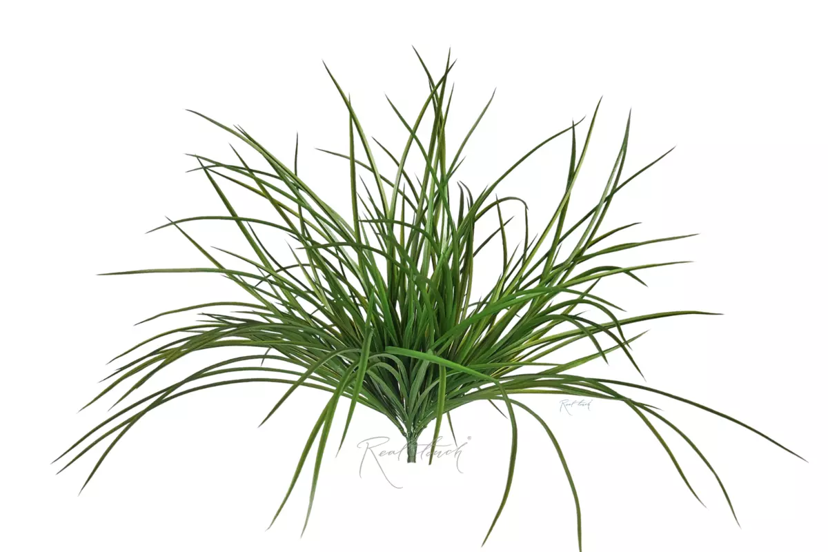 Bunch of voluminous grass - green