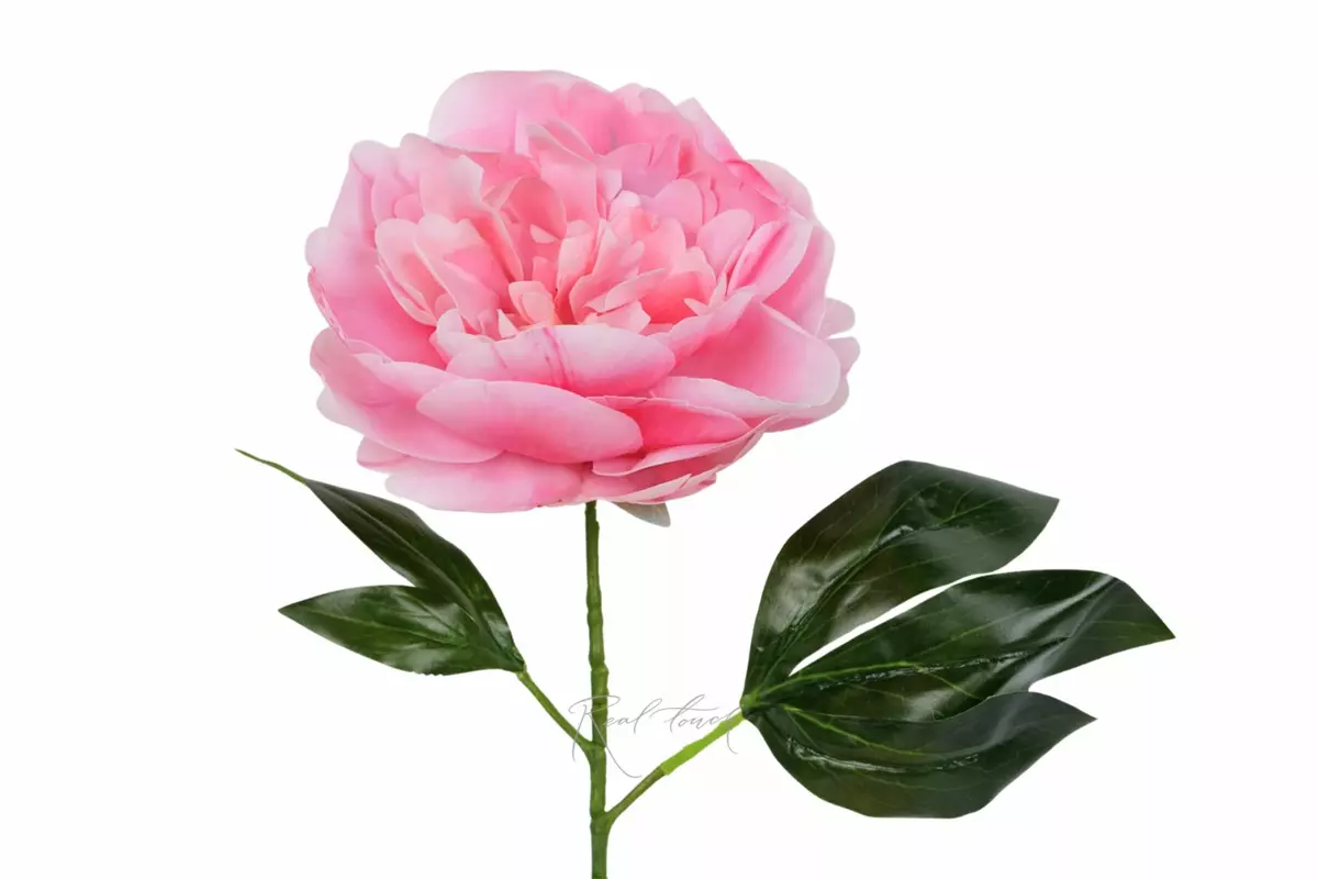 Real Touch Silicone Peony Stem - pink