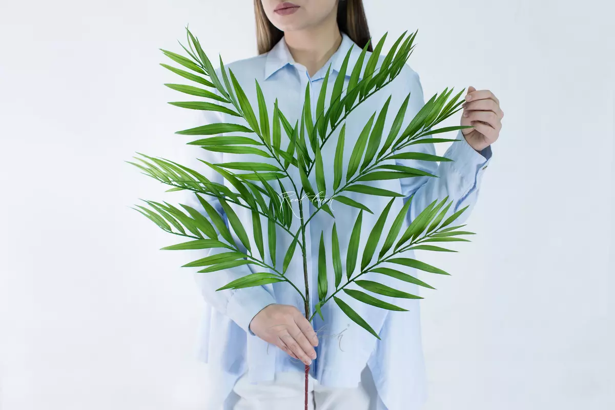 Hamedorea branch 100cm - green
