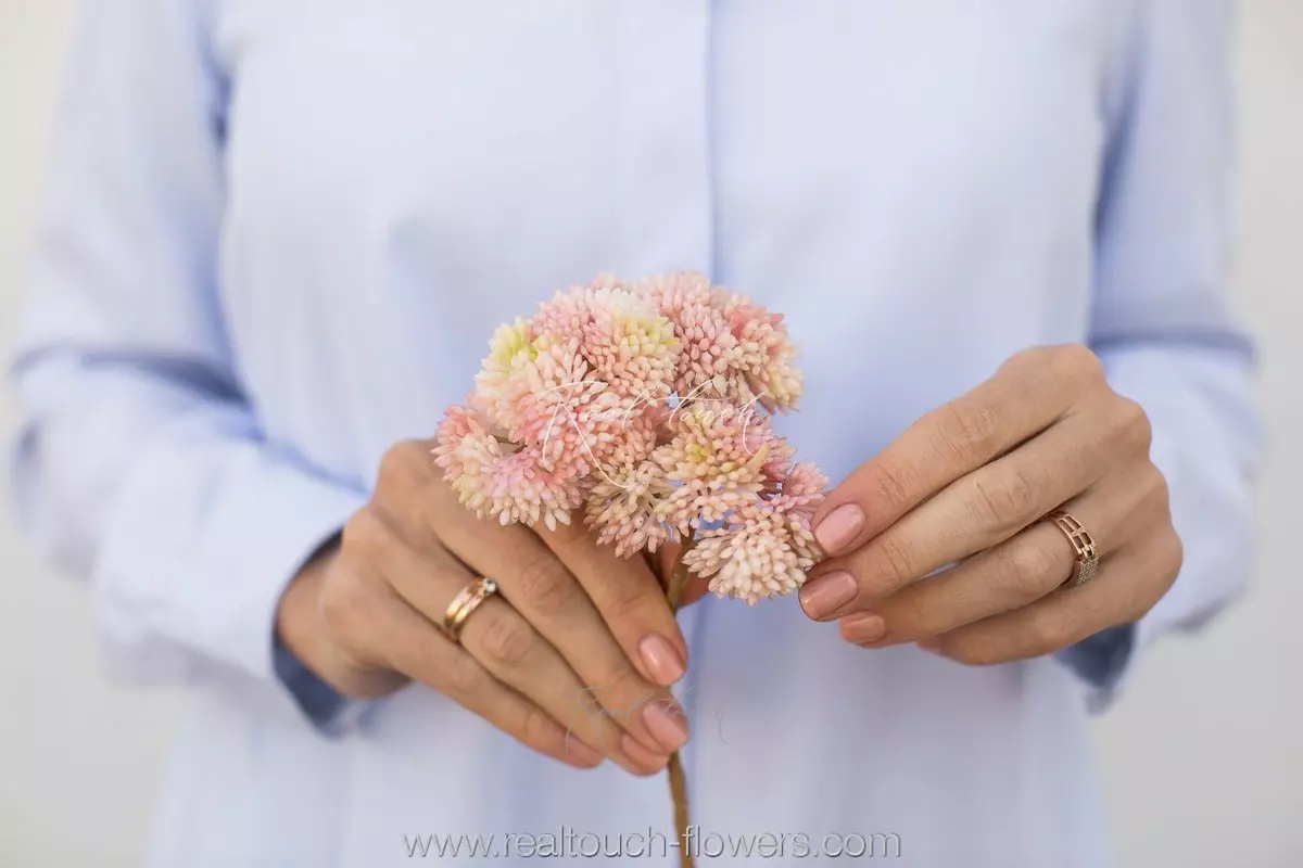 Small Sedum - pink