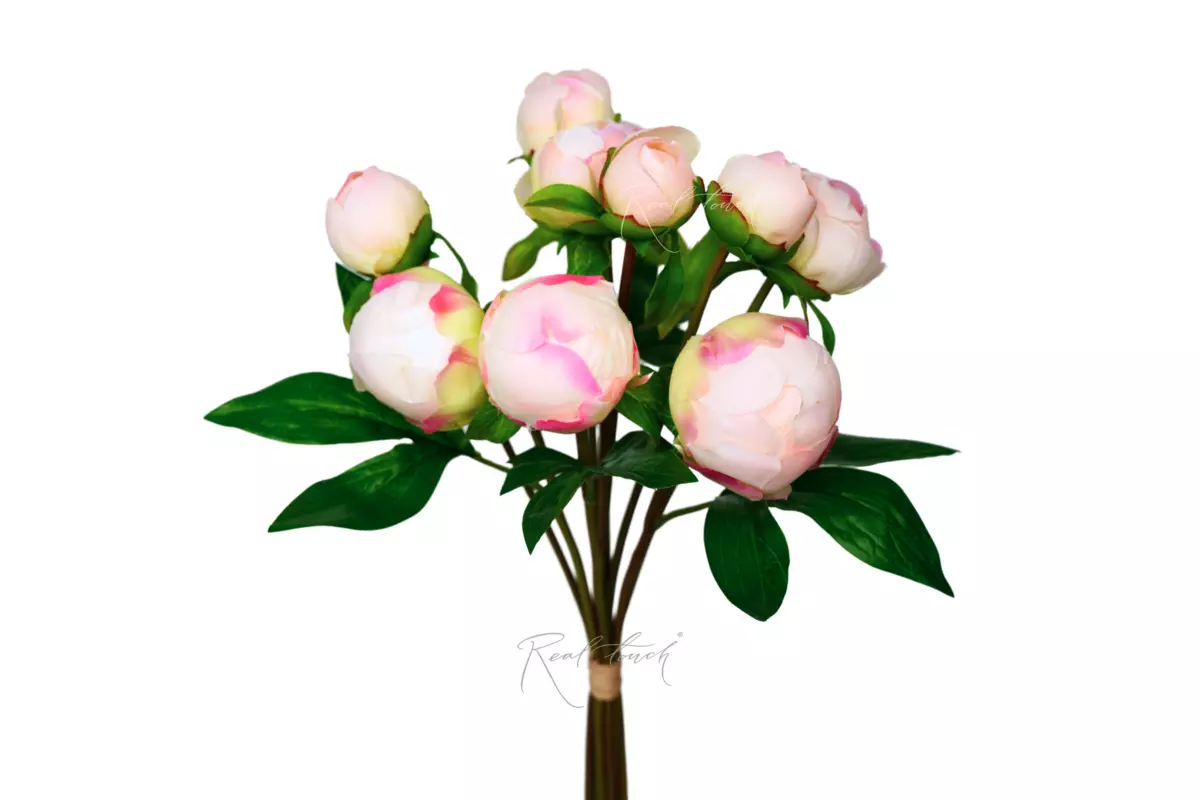Peony Bouquet (9 Closed Buds) - white pink 