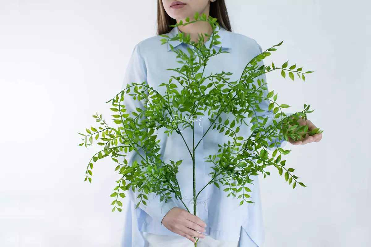 Artificial Ruscus branch - green