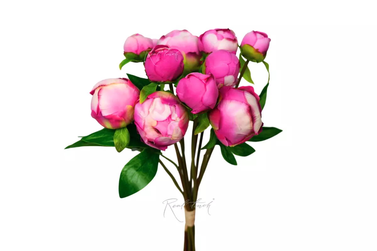 Peony Bouquet (9 Closed Buds) - Dark pink